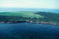 010309_0775_0598_nsls.jpg