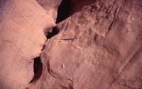 010309_0775_0573_nsls.jpg