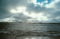 010309_0775_0567_nsls.jpg