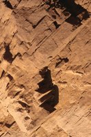 010309_0775_0539_nsls.jpg