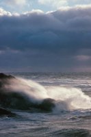 010309_0775_0538_nsls.jpg
