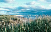 010309_0775_0537_nsls.jpg