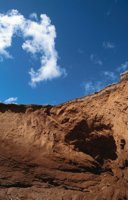 010309_0775_0536_nsls.jpg