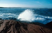 010309_0775_0531_nsls.jpg