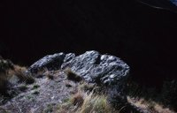 010309_0775_0523_nsls.jpg
