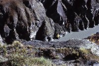 010309_0775_0509_nsls.jpg