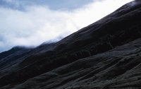 010309_0775_0499_nsls.jpg