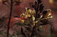 010309_0775_0488_nsls.jpg