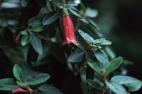 010309_0775_0486_nsls.jpg