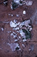 010309_0775_0475_nsls.jpg