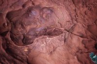 010309_0775_0474_nsls.jpg