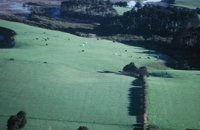 010309_0775_0473_nsls.jpg