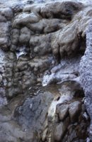 010309_0775_0471_nsls.jpg