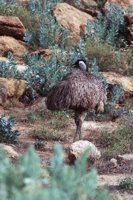 010309_0775_0468_nsls.jpg