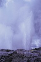 010309_0775_0456_nsls.jpg
