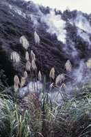 010309_0775_0453_nsls.jpg