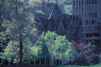 010309_0775_0429_nsls.jpg