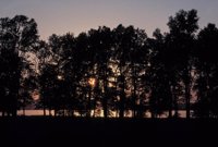 010309_0775_0420_nsls.jpg
