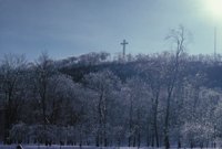 010309_0775_0416_nsls.jpg