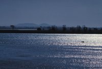 010309_0775_0406_nsls.jpg