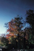 010309_0775_0405_nsls.jpg
