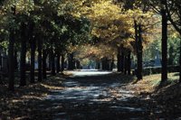 010309_0775_0402_nsls.jpg