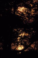 010309_0775_0397_nsls.jpg