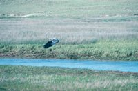 010309_0775_0366_nsls.jpg