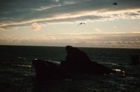 010309_0775_0360_nsls.jpg