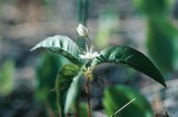 010309_0775_0359_nsls.jpg