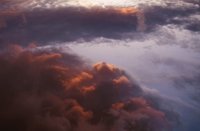 010309_0775_0357_nsls.jpg