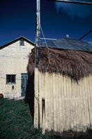 010309_0775_0348_nsls.jpg