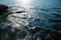 010309_0775_0342_nsls.jpg