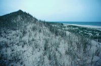 010309_0775_0339_nsls.jpg