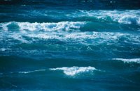 010309_0775_0335_nsls.jpg