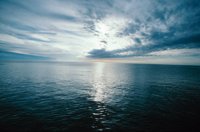 010309_0775_0334_nsls.jpg