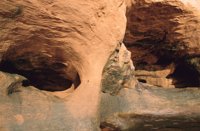 010309_0775_0326_nsls.jpg