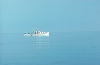 010309_0775_0311_nsls.jpg
