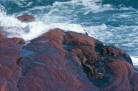 010309_0775_0309_nsls.jpg