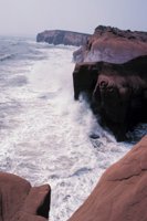 010309_0775_0298_nsls.jpg