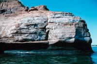 010309_0775_0290_nsls.jpg