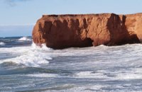 010309_0775_0289_nsls.jpg