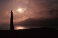 010309_0775_0282_nsls.jpg