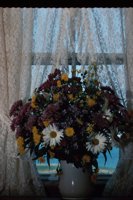 010309_0775_0273_nsls.jpg
