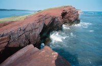 010309_0775_0268_nsls.jpg