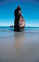 010309_0775_0263_nsls.jpg