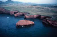 010309_0775_0262_nsls.jpg