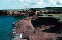 010309_0775_0260_nsls.jpg