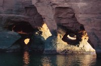 010309_0775_0256_nsls.jpg