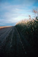 010309_0775_0255_nsls.jpg
